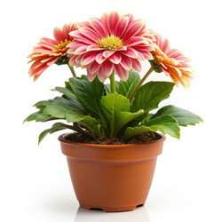 Similar image 22578826