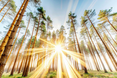 Similar image 22578827