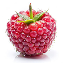 Similar image 22578964