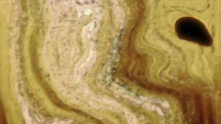 Similar image 22568893