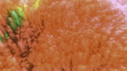 Similar image 22569398