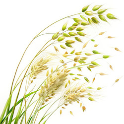 Similar image 22580639