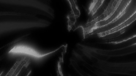 Similar image 22575651