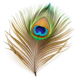 Similar image 22584913