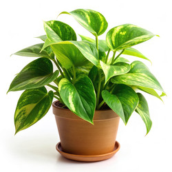 Similar image 22578903