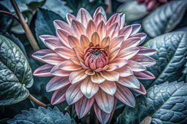 Similar image 22579103