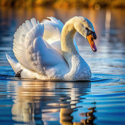 Similar image 22580882