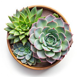 Similar image 22584793