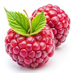 Similar image 22584899