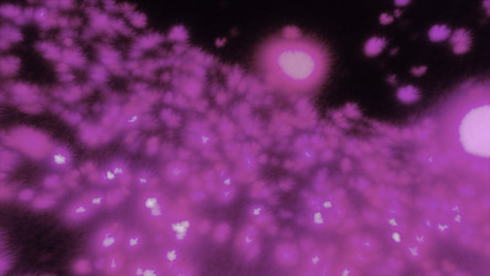 Similar image 22563533