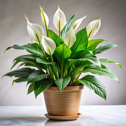 Similar image 22578940