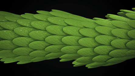 Similar image 22570509