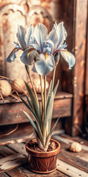Similar image 22578867
