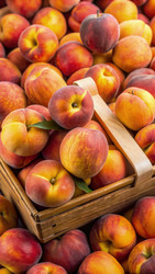 Similar image 22578891