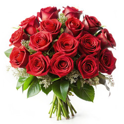 Similar image 22579043