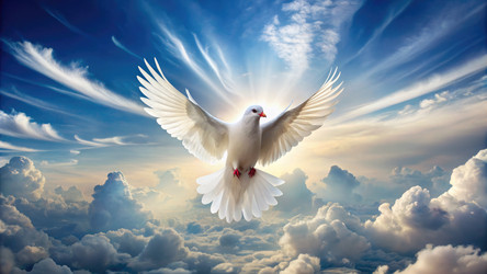 Similar image 22579062