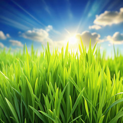 Similar image 22579075