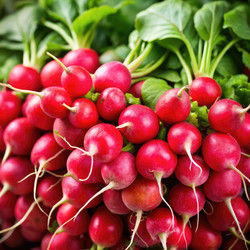 Similar image 22579136