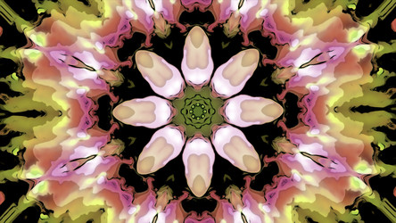 Similar image 22563771