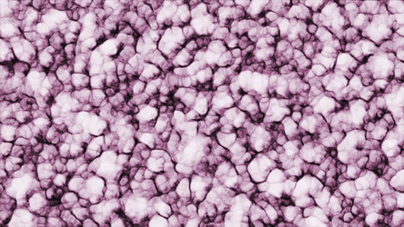 Similar image 22565036