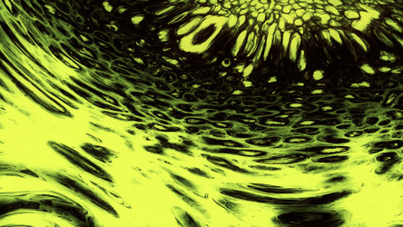 Similar image 22568147