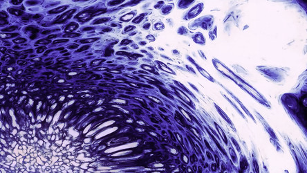 Similar image 22570568