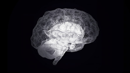 Similar image 22575825