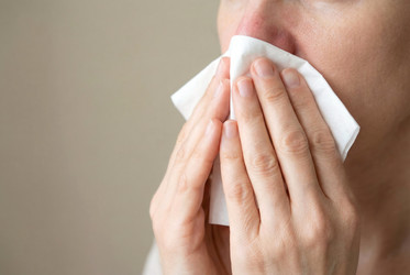 Similar image 22562442