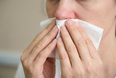 Similar image 22562444