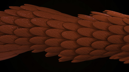 Similar image 22571715