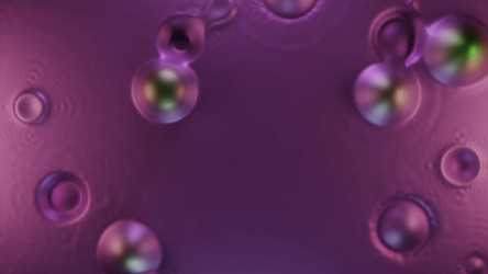 Similar image 22565321