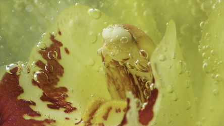 Similar image 22566130