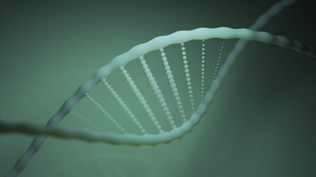 Similar image 22573104