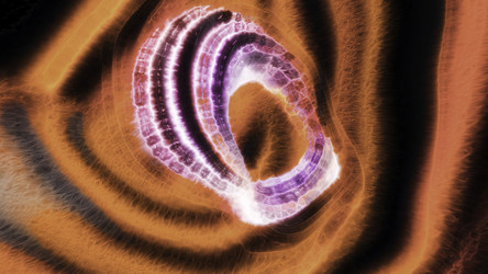 Similar image 22559206