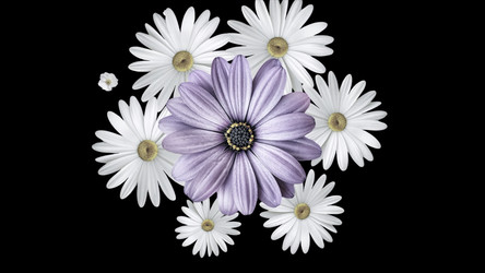 Similar image 22566234