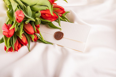 Similar image 22558951