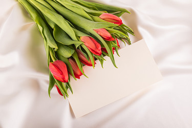 Similar image 22558953