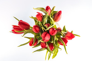 Similar image 22558954