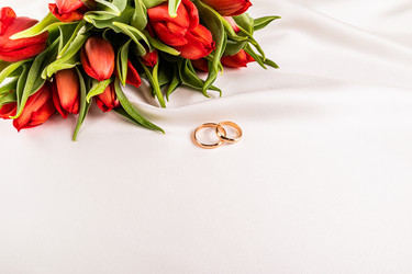 Similar image 22558955