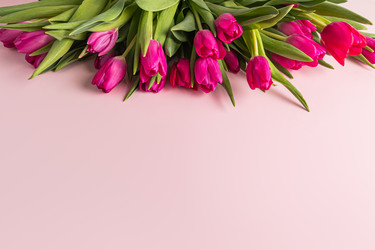 Similar image 22558968