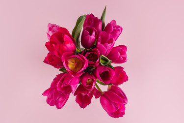 Similar image 22558969