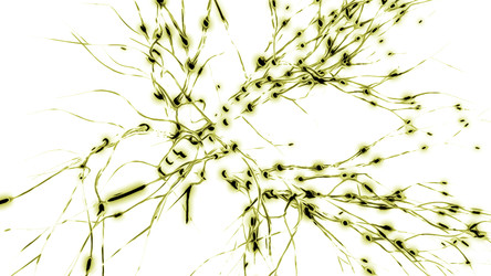 Similar image 22575486