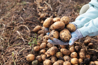 Similar image 22562083