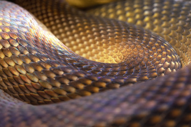 Similar image 22561994