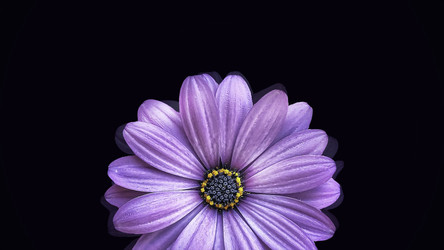 Similar image 22570119