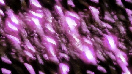 Similar image 22570231