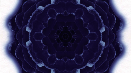 Similar image 22570516