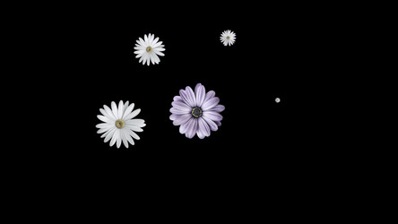 Similar image 22573748