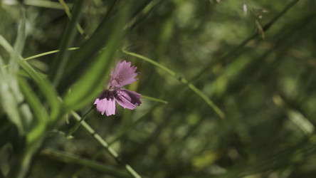 Similar image 22576457