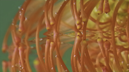 Similar image 22559614